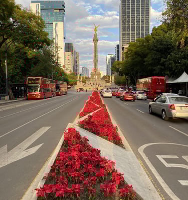 Paseo de Reforma, Ciudad de México de día | Reserva Transporte Turístico y Ejecutivo en CDMX