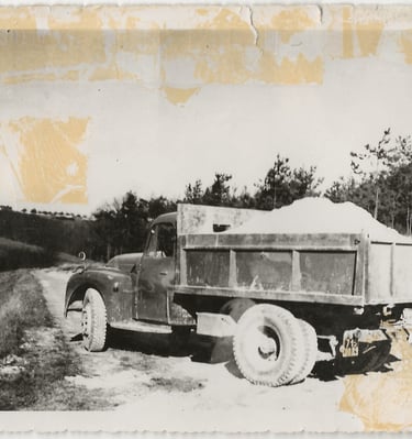 L'Oursin Blanc histoire