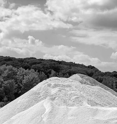 L'Oursin Blanc carbonate de chaux