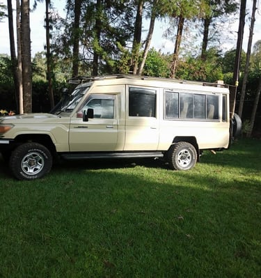 Toyota Land Cruiser safari vehicle parked outside client's accommodation