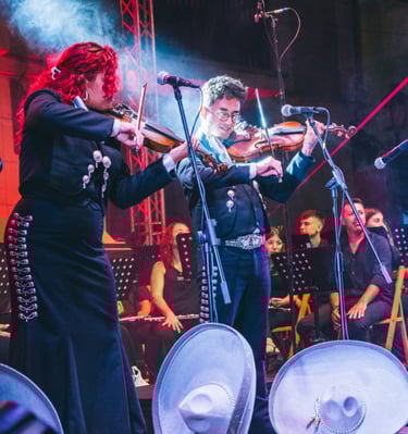 Mariachi tocando serenata en terraza privada Madrid