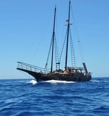 barco mondragon dream en mogan navegando 