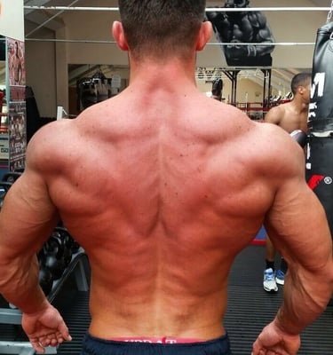 online nutrition