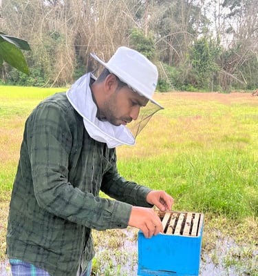 beekeeper forest background yellow and green vally in nilgiris