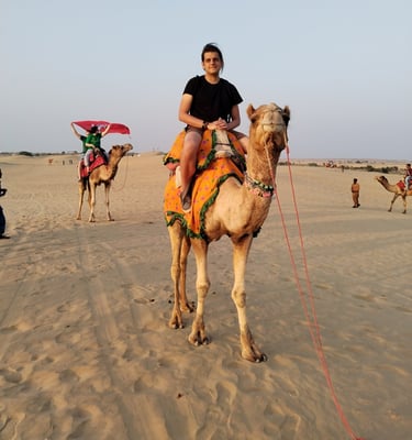 Kelionės į Indiją Travel India camel in desert of Rajasthan