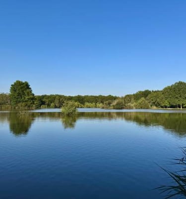 étang de Sologne