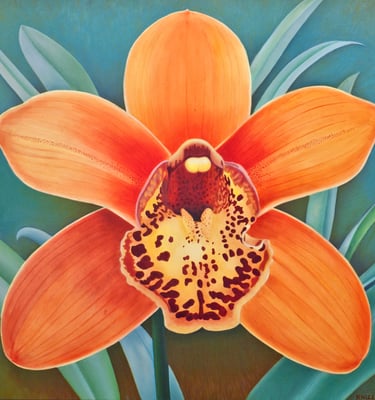 Orange Cattleya