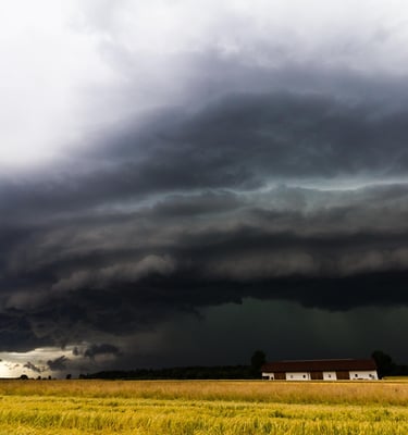 1. Le dérèglement climatique fragilise directement les cultures :