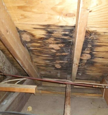 Signs of a leaking roof