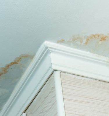 Signs of a leaking roof