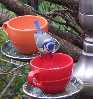 vaisselle recyclée en mangeoires oiseaux