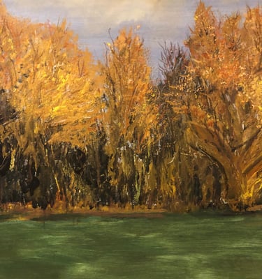 CBM Art Court Meadow - Golden Glow Acrylic on canvas board
