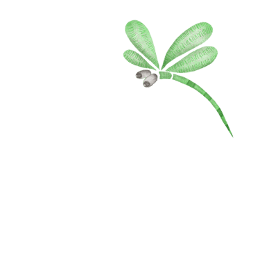 Green dragonfly art for art prints, greeting cards and stationery