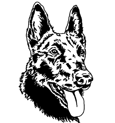 portrait digital stylisé noir et blanc d'un chien