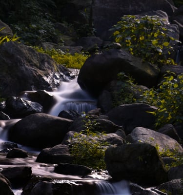 A stunning picture of a rivulet in long exposure.
