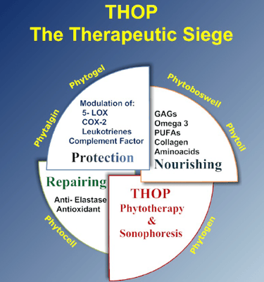 THOP L'assedio Terapeutico