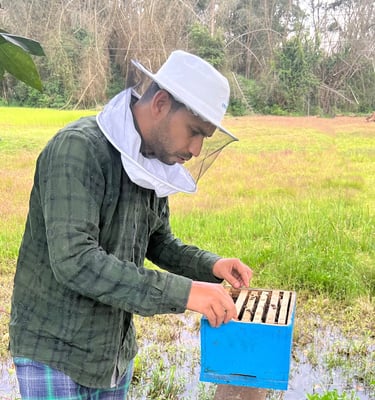 beekeeper forest background yellow and green vally in nilgiris