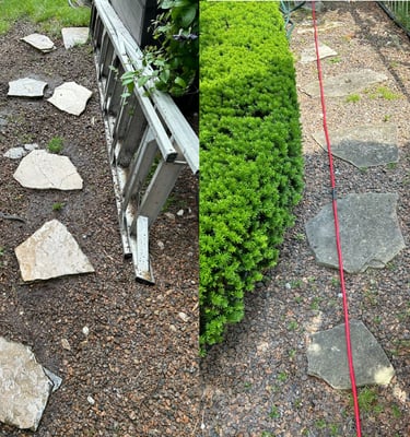Before and after landscaping comparison of a garden pathway featuring natural flagstone stepping stones.