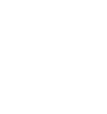 icone social media