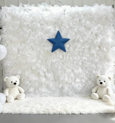 White tulle backdrop with blue star and teddy bears for baby shower party decoration.