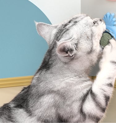 Catnip Ball