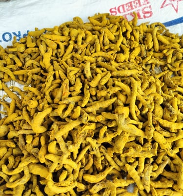 coorg turmeric