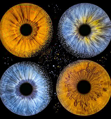 quatuor iris