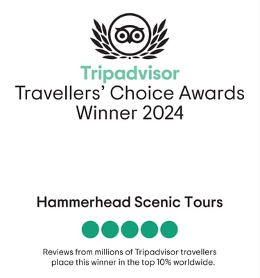 2024 TripAdvisot-Travellers Choice Award Winner 2024