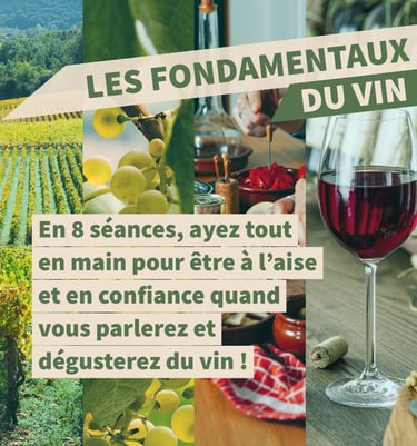 fondamentaux vins cours oenologie