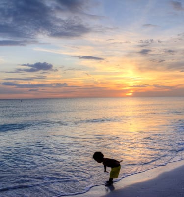 Seas The Days Photography