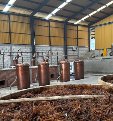 fábrica de mezcal