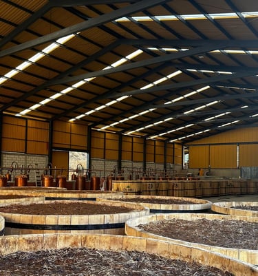 mezcal factory