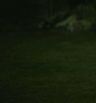 labai tamsios žalios spalvos fonas