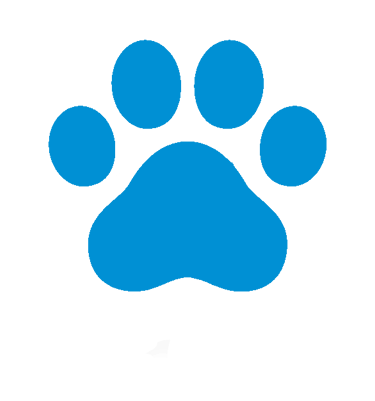 Trace de patte de chat