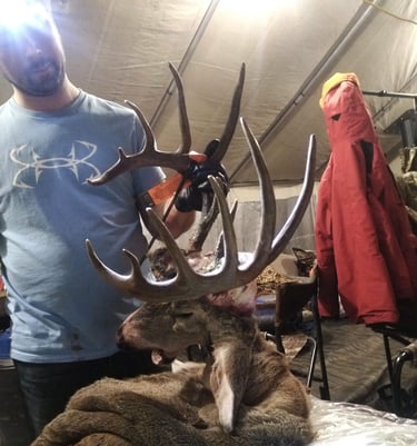 Saskatchewan whitetail hunts - big whitetail buck on the caping table