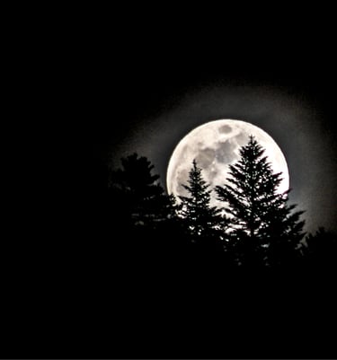 Nocturne