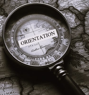 Conseil en orientation
