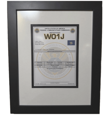 Enhanced Framed License Photo