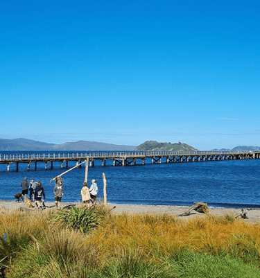 Petone Wharf, 2023.