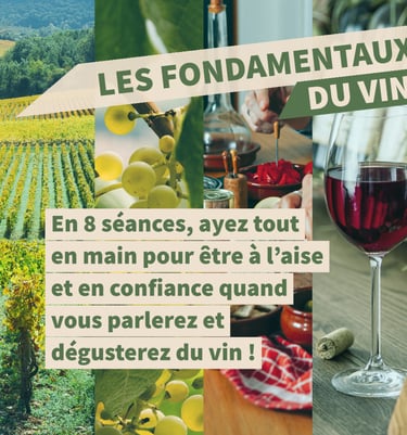 fondamentaux vins cours oenologie