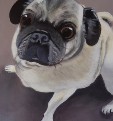 Acrylic on canvas pet portrait 2018, 50.8cm x 60.9cm