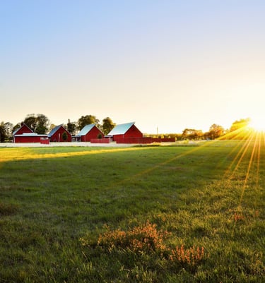 contribución de una producción sostenible