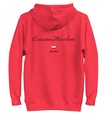 Camiseta oversize Wroclaw colores claros