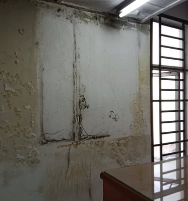 water seepage,mold and paint peeling wall