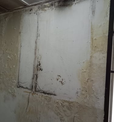 damp ,moldy wall