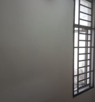 water seepage, mold , paint peeling wall after repair