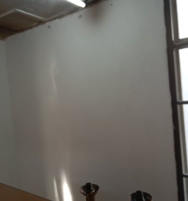 damp, moldy wall after repair