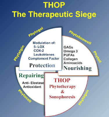 THOP L'assedio Terapeutico