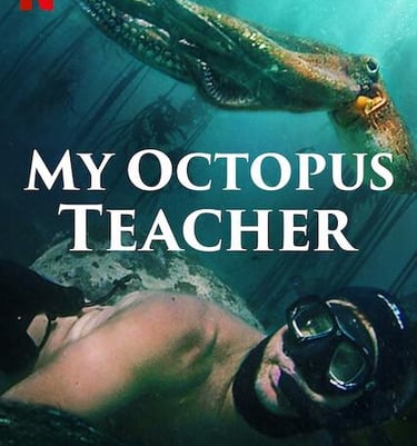 /my-octopus-teacher
