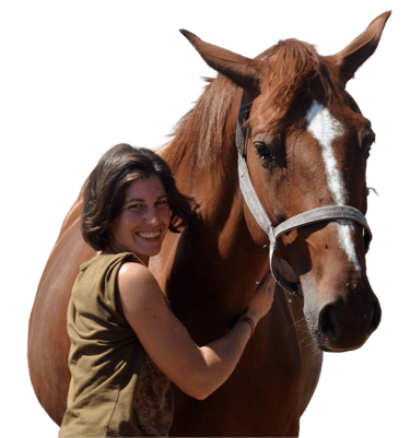 synergie avec le cheval, appliqué aux entreprises